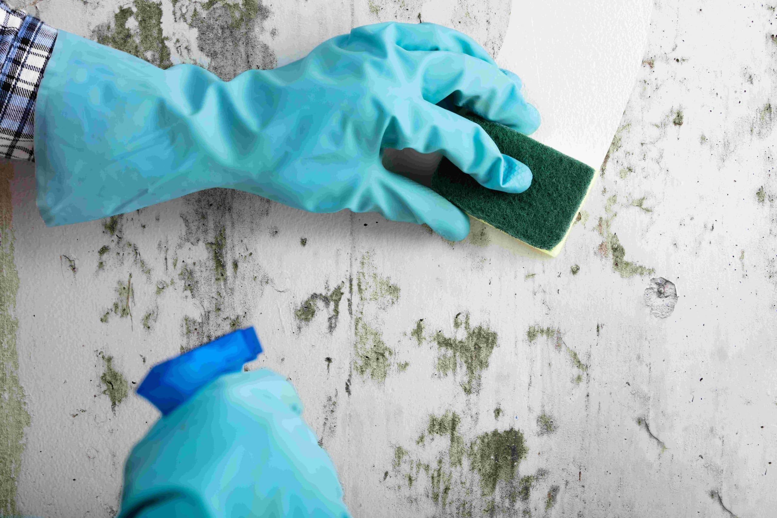 How to Clean Walls to Remove Scuffs and Stains MI Painting