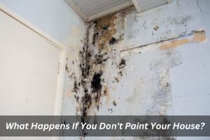 Image presents What Happens If You Don't Paint Your House - Painting A New House Interior