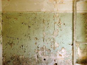 Image showing visible paint cracking on a wall due to poor surface preparation and humidity in an indoor setting.