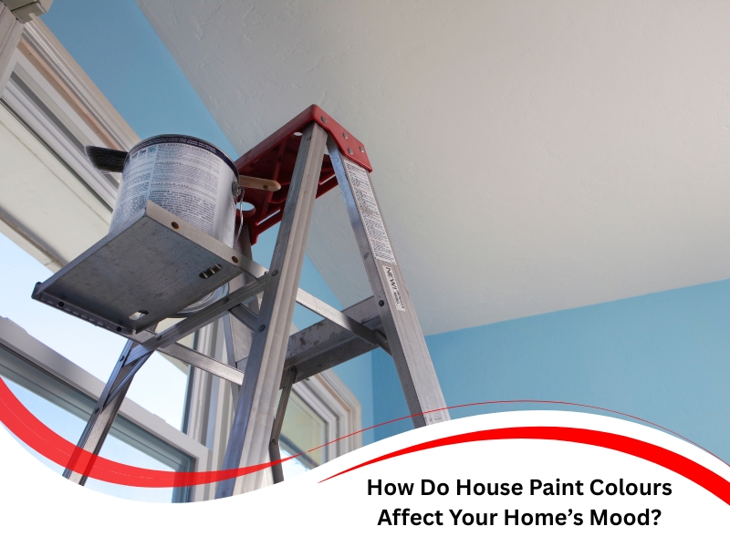 Ladder with a paint bucket inside a bright room painted with blue house paint colours.