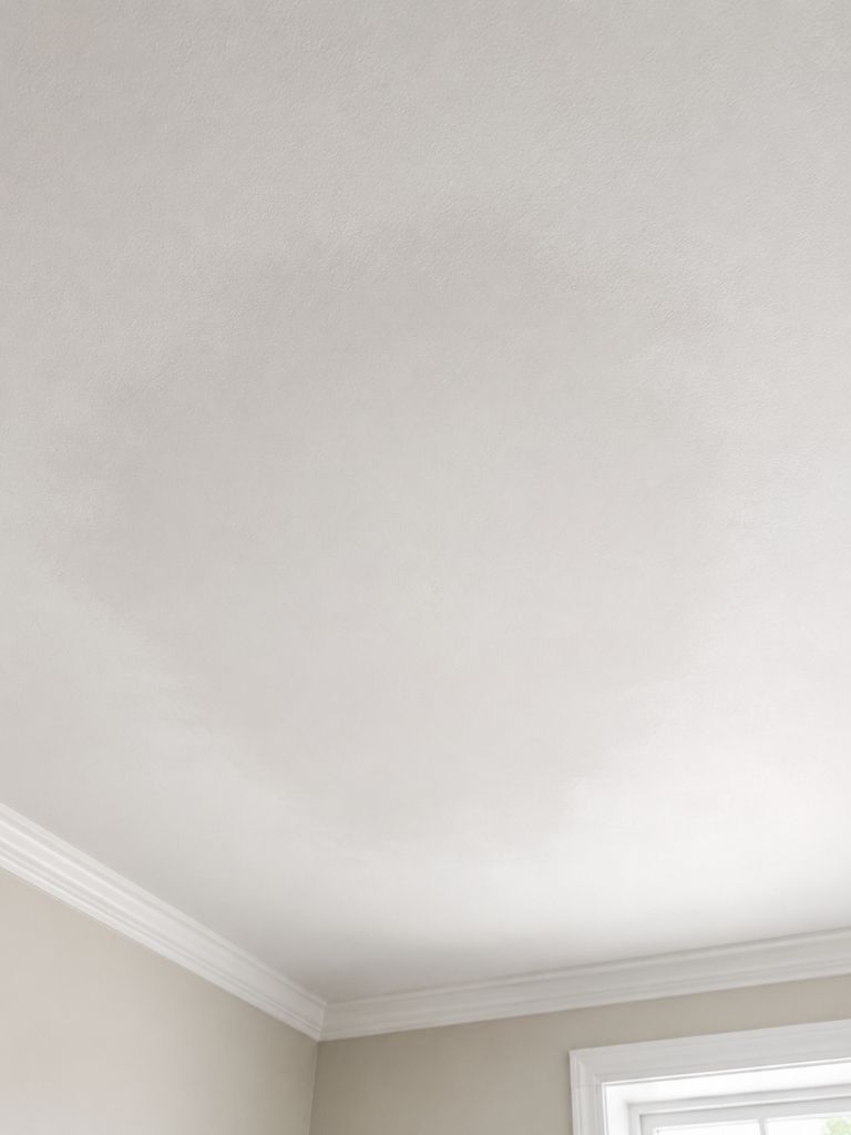 Repaired plaster ceiling with an even, paint-ready surface
